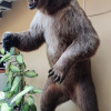 https://cdn.ostrovok.ru/t/100x100/hotel_review/cf/39/cf39b410b0154ef1523167d5994e6c767b4e5aba.jpeg