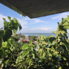 https://cdn.ostrovok.ru/t/100x100/hotel_review/cf/b7/cfb7d7ca6e04d573d51e40a0a6fd3c32bb30d705.jpeg