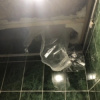 https://cdn.ostrovok.ru/t/100x100/hotel_review/d0/fe/d0fee91198b655e16df4e67492cf7bcab28899a2.jpeg