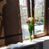 https://cdn.ostrovok.ru/t/100x100/hotel_review/d2/b0/d2b03906e1a2925b4e59bf605e0f4bec8a7e7b7b.jpeg