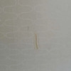 https://cdn.ostrovok.ru/t/100x100/hotel_review/d3/bc/d3bc1e1b8014adcf6b25b06e13b1628b8dc9e1be.jpeg