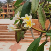 https://cdn.ostrovok.ru/t/100x100/hotel_review/d5/a8/d5a857a00ba426a168c60db2dfdc5ea8dfe6f61a.jpeg