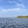 https://cdn.ostrovok.ru/t/100x100/hotel_review/d6/f7/d6f76ed95194ea6cbfef8fa38e1539e2bbbcf71d.jpeg