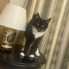 https://cdn.ostrovok.ru/t/100x100/hotel_review/d7/b2/d7b20ff3cf7d5d1db0768dfe367a45e5e2d13729.JPEG