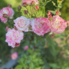 https://cdn.ostrovok.ru/t/100x100/hotel_review/d9/14/d9146f21c1edafb5a514b1a649d41b7b737669fc.JPEG