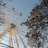 https://cdn.ostrovok.ru/t/100x100/hotel_review/db/b3/dbb3092e8ed2aba3f0441240d9fcfb7967d088b2.jpeg