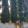 https://cdn.ostrovok.ru/t/100x100/hotel_review/dc/d1/dcd1f2d505f69b2123305b7fdf8eaf4e12026cd0.JPEG