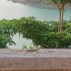 https://cdn.ostrovok.ru/t/100x100/hotel_review/dc/df/dcdf8f045c74426537a5b17ba24b392a820a178b.jpeg
