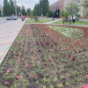 https://cdn.ostrovok.ru/t/100x100/hotel_review/dc/f4/dcf47c377ee1cd580013cdcffc86d6ecdb80312d.jpeg