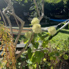 https://cdn.ostrovok.ru/t/100x100/hotel_review/de/64/de649ffe1677ce9d0f2c3e6d88a341ea7a6cd320.JPEG