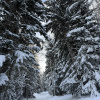 https://cdn.ostrovok.ru/t/100x100/hotel_review/e1/66/e1663e4bd4d985648e1a1740343032afcadf9e0d.JPEG