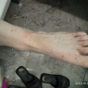 https://cdn.ostrovok.ru/t/100x100/hotel_review/e1/fb/e1fbb2bcddbed54953b66060b1c2ae2dfc5f02ce.JPEG