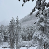 https://cdn.ostrovok.ru/t/100x100/hotel_review/e2/29/e22924a3677cb767080da2db59c841110e5bbef7.JPEG