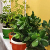 https://cdn.ostrovok.ru/t/100x100/hotel_review/e2/29/e229fccb1e5fe05c2efd03837da2fba2da4ef01d.jpeg