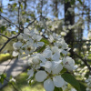 https://cdn.ostrovok.ru/t/100x100/hotel_review/e2/44/e244be7e21667dde5cc27ddb25cbdf2b9db8ef4b.JPEG