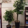 https://cdn.ostrovok.ru/t/100x100/hotel_review/e3/df/e3df8ab192b267a00a3aa1c7b76c4f395dad1823.JPEG