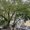 https://cdn.ostrovok.ru/t/100x100/hotel_review/e4/fa/e4faef9a830518fc76bdc8c1ddb546210445addb.jpeg