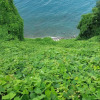 https://cdn.ostrovok.ru/t/100x100/hotel_review/e7/8c/e78c2c55ef7deb4e252aae740962ec33031fb2ef.JPEG