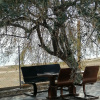 https://cdn.ostrovok.ru/t/100x100/hotel_review/e9/fb/e9fbfdc8a0d7e8ad6c194814304dd5b875b9cc87.JPEG