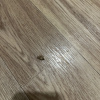 https://cdn.ostrovok.ru/t/100x100/hotel_review/ea/2b/ea2bcc7ec0909f76a4c8a4f93f848dc77f1fae3a.JPEG