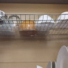 https://cdn.ostrovok.ru/t/100x100/hotel_review/ea/44/ea44b4deba897cd1aadcf10c2fc8da2f6b97723c.JPEG