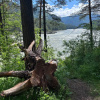 https://cdn.ostrovok.ru/t/100x100/hotel_review/ea/bc/eabcbedfcf906f77f2f5157d352f18a4902a42f7.JPEG