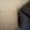 https://cdn.ostrovok.ru/t/100x100/hotel_review/eb/21/eb2189a0f06a8f86ccb63a2f7bb8eea2eec95f0f.JPEG