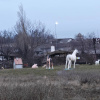 https://cdn.ostrovok.ru/t/100x100/hotel_review/eb/dd/ebdda7f2f6e0902e7eaf4fdcee95b1911e6b15c0.JPEG