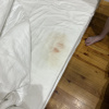 https://cdn.ostrovok.ru/t/100x100/hotel_review/ed/05/ed05af4d4be8bdcd58a4e254dcb18b36d015a5bc.JPEG