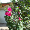 https://cdn.ostrovok.ru/t/100x100/hotel_review/ee/5e/ee5ea86bd7afc800f99f2ff85f93bd06d03a79e7.jpeg