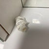 https://cdn.ostrovok.ru/t/100x100/hotel_review/ef/fc/effc482f3f834a3efbe6cdbcb2c05c845e5789e1.jpeg