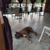 https://cdn.ostrovok.ru/t/100x100/hotel_review/f2/d0/f2d08f9fb799dce9f5df58f0984b35d595d4f5e1.JPEG