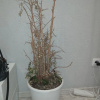 https://cdn.ostrovok.ru/t/100x100/hotel_review/f4/bb/f4bbdc60e833384bfbb4aecd85ed9dbde566673c.JPEG