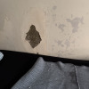 https://cdn.ostrovok.ru/t/100x100/hotel_review/f5/f4/f5f4bf4fb8ab2b123d05dd8c2b02bfd8bcd3fd43.JPEG