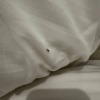 https://cdn.ostrovok.ru/t/100x100/hotel_review/f6/15/f6153b0db5933f7c76e057efd2c4b030a1ca83e9.jpeg