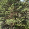 https://cdn.ostrovok.ru/t/100x100/hotel_review/fa/5d/fa5d4801f8eae94718bc6cdc63c506b9ca0ed4b8.JPEG
