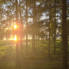 https://cdn.ostrovok.ru/t/100x100/hotel_review/fa/60/fa60d1d346a040eef4f7e9ffd50b301e73a7cc6d.JPEG