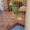 https://cdn.ostrovok.ru/t/100x100/hotel_review/fa/b9/fab9e0af7adca682a813a2ad15d6ed5bbd184b77.jpeg