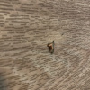 https://cdn.ostrovok.ru/t/100x100/hotel_review/fb/14/fb14dc143d3ba74a42e07b3a7d93b5e6c05cefcb.jpeg