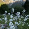 https://cdn.ostrovok.ru/t/100x100/hotel_review/fc/a2/fca2f5d66dff8fc4a4f9bc6360d268ef87d85404.jpeg