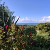 https://cdn.ostrovok.ru/t/100x100/hotel_review/fc/aa/fcaa29fcaf6af839c2ef0726e33686ca8be5c73e.JPEG