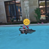 https://cdn.ostrovok.ru/t/100x100/hotel_review/fd/c8/fdc8d792665ca1d0fe5baa6eab9dac2cca6255d4.JPEG