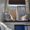 https://cdn.ostrovok.ru/t/100x100/hotel_review/ff/80/ff8042db9d894e98252e2f600c3a64111c81ae48.jpeg
