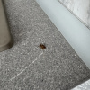 https://cdn.ostrovok.ru/t/100x100/hotel_review/ff/a1/ffa12a6d8ccb8a189aaff2f826de5d719fa26ee2.JPEG