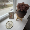 https://cdn.ostrovok.ru/t/100x100/hotel_review/ff/db/ffdbf880549dc3676aecfb2a87d123a2242a07e7.JPEG