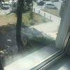 https://cdn.ostrovok.ru/t/100x100/ostrovok/09/cb/09cb338deeb88ce38d5f74dbe2ccc1741c353ed5.jpeg
