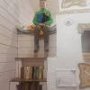 https://cdn.ostrovok.ru/t/100x100/ostrovok/57/bb/57bb2170268a19da0aa48b9bb2385f90ddcf1af8.jpeg