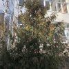 https://cdn.ostrovok.ru/t/100x100/ostrovok/5d/4e/5d4ee1d385531dcc8492fc8779d4abd21b8343fb.jpeg