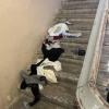 https://cdn.ostrovok.ru/t/100x100/ostrovok/74/78/747890b0f8c2c5e8ef4dc3ea623cffbce23c190f.jpeg