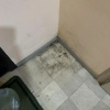https://cdn.ostrovok.ru/t/100x100/ostrovok/78/78/78783754c3e60bbabe64c73aaed42e6d5e1f947e.jpeg